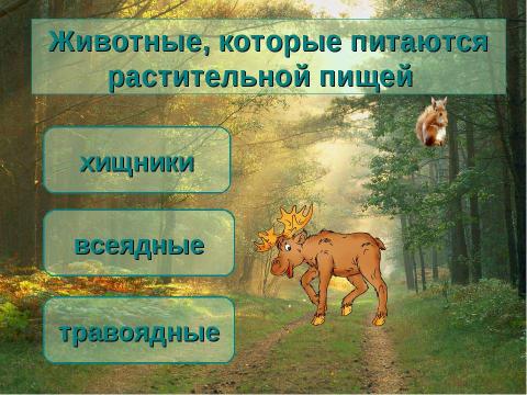 Презентация на тему "Животные лесной зоны России" по окружающему миру