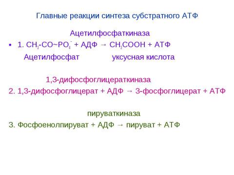 Презентация на тему "Брожения. Типы жизни, основанные на субстратном фосфорилировании" по биологии