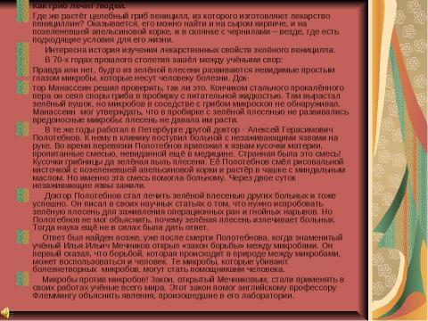 Презентация на тему "Полезный и вредный гриб - плесень" по химии