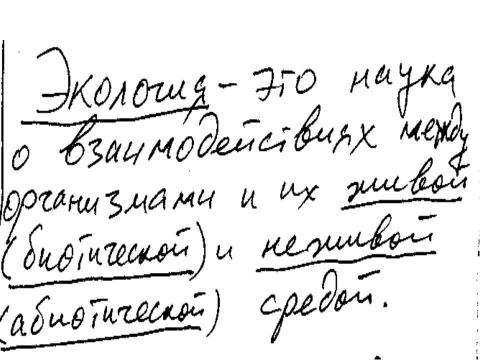 Презентация на тему "Экология" по экологии