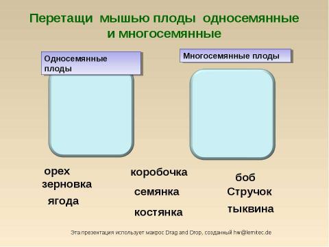 Презентация на тему "Плоды" по биологии