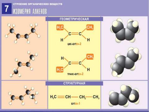 Презентация на тему "Непредельные углеводороды. Алкены" по химии