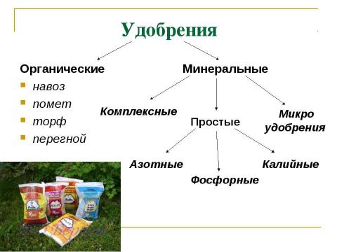 Презентация на тему "Минеральное питание растений" по биологии