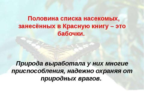 Презентация на тему "Бабочки 7 класс" по биологии