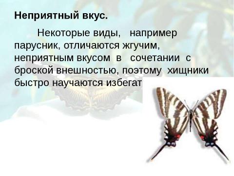 Презентация на тему "Бабочки 7 класс" по биологии