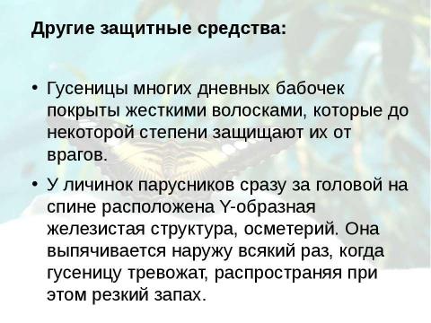 Презентация на тему "Бабочки 7 класс" по биологии