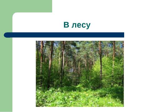 Презентация на тему "Разнообразие растений на Земле" по начальной школе