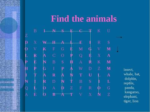 Презентация на тему "What do you know about animals?" по английскому языку