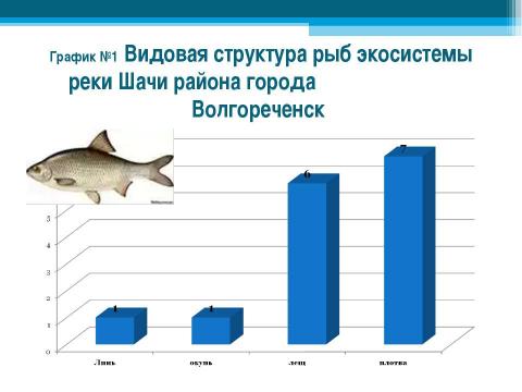 Презентация на тему "Изучение ихтиофауны реки Шачи района города Волгореченска" по обществознанию