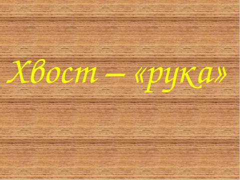 Презентация на тему "Зачем животным нужны хвосты? 5 класс" по окружающему миру