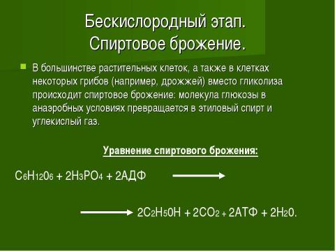 Презентация на тему "Основы цитологии. Энергетический обмен в клетке" по биологии