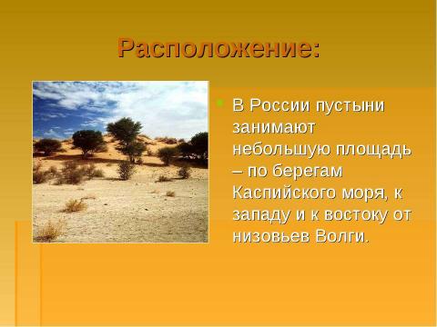 Презентация на тему "Природные зоны России. Зона пустынь" по окружающему миру