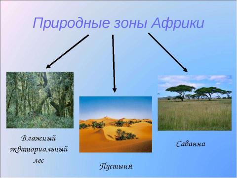 Презентация на тему "Природные зоны Африки 7 класс" по географии
