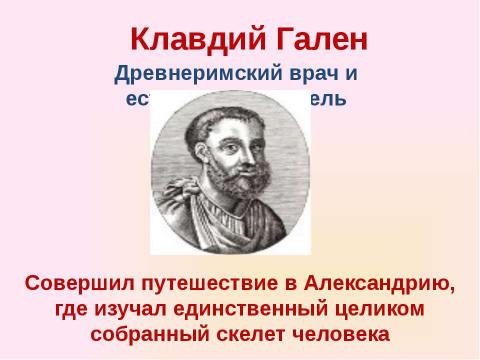 Презентация на тему "Скелет челоаека" по биологии