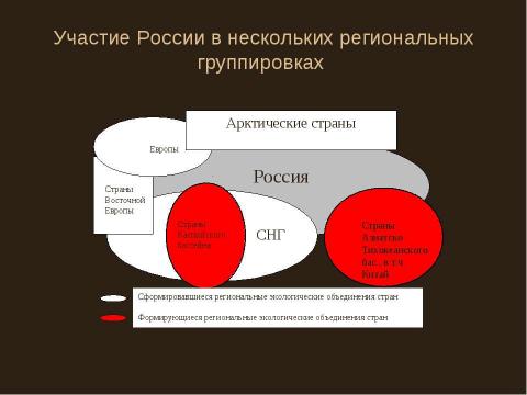 Презентация на тему "Международное сотрудничество в области управления природоохранной деятельностью" по экономике