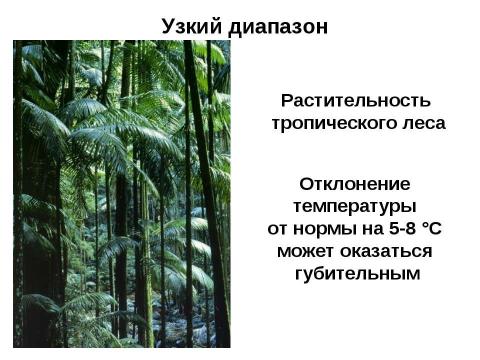 Презентация на тему "Общие законы действия факторов среды на организм" по биологии