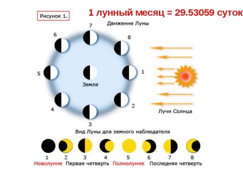 Презентация на тему "Счёт лет в истории" по истории