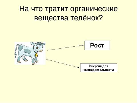 Презентация на тему "Обмен веществ в организме" по начальной школе