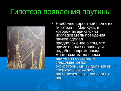 Презентация на тему "Из чего состоит паутина?" по химии