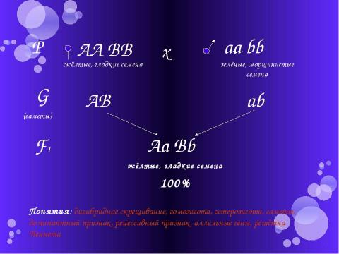 Презентация на тему "Дигибридное скрещивание" по биологии