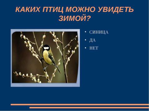 Презентация на тему "Птицы зимой" по начальной школе