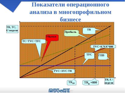 Презентация на тему "Операционный анализ и управление товарным портфелем фирмы" по экономике