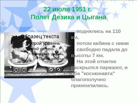 Презентация на тему "Животные-космонавты!" по астрономии