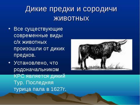 Презентация на тему "Происхождение животных и их дикие предки и сородичи" по биологии