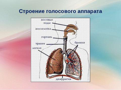 Презентация на тему "Пение" по музыке