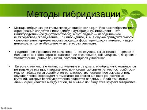 Презентация на тему "Селекция растений" по биологии