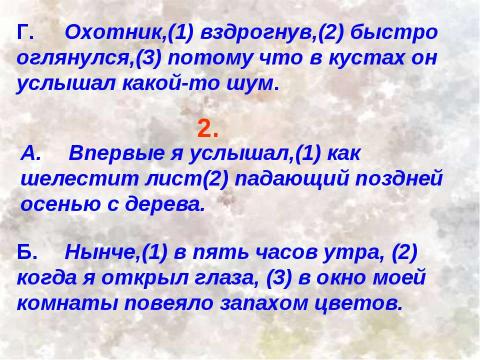 Презентация на тему "Тренировочные упражнения" по русскому языку