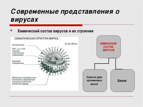 Презентация на тему "Неклеточные формы жизни. Вирусные заболевания человека" по медицине