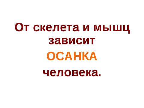 Презентация на тему "Опора тела и движение" по окружающему миру