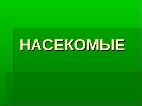 Презентация на тему "Кто такие насекомые?" по биологии