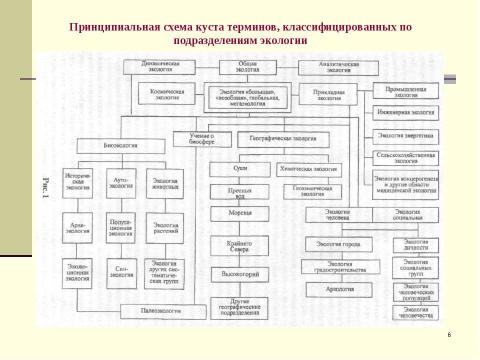 Презентация на тему "Экологический менеджмент" по экологии