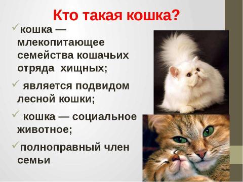 Презентация на тему "Кошки в истории, обществе, в английской и русском языках и литературе разных стран" по литературе