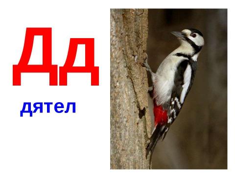 Презентация на тему "Алфавит в звуках и картинках" по русскому языку