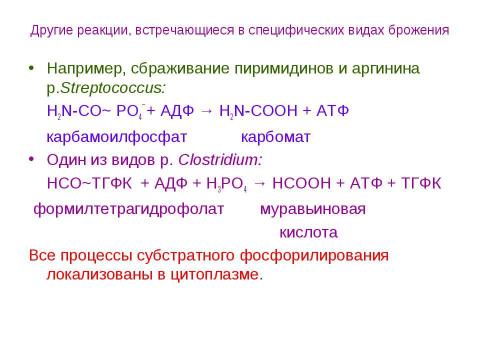 Презентация на тему "Брожения. Типы жизни, основанные на субстратном фосфорилировании" по биологии