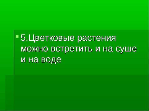 Презентация на тему "Основные группы растений" по биологии