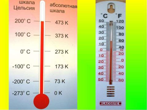 Презентация на тему "Температура живых существ" по биологии