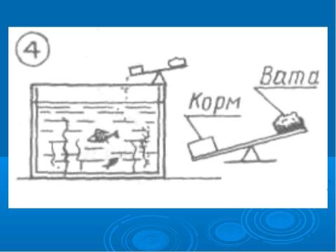 Презентация на тему "Автоматическая кормушка для аквариумных рыбок" по биологии