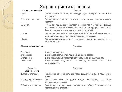Презентация на тему "Муравьи" по географии