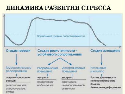 Презентация на тему "Стресс в профессиональной деятельности: причины и методы преодоления" по обществознанию