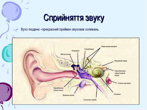 Презентация на тему "Звуки в житті" по физике