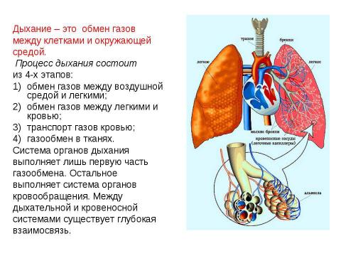 Презентация на тему "вода" по физике