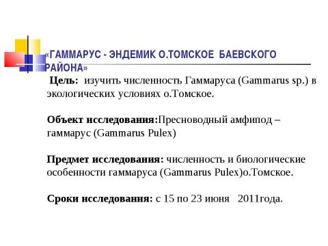 Презентация на тему "ГАММАРУС - ЭНДЕМИК О.ТОМСКОЕ БАЕВСКОГО РАЙОНА" по биологии