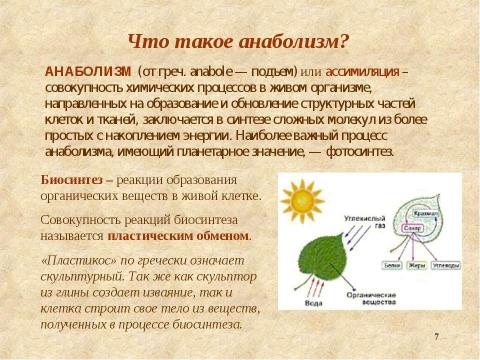 Презентация на тему "Метаболизм – основа существования живых организмов" по биологии