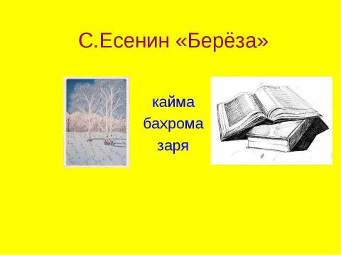 Презентация на тему "С.Есенин.«Поёт зима – аукает …», «Береза»" по литературе