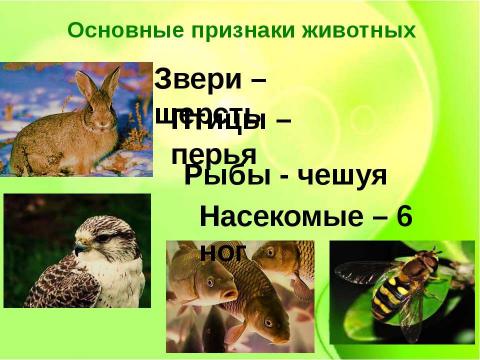 Презентация на тему "Какие бывают животные" по окружающему миру