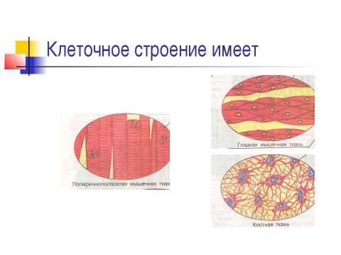 Презентация на тему "Чем живое отличается от неживого ?" по биологии